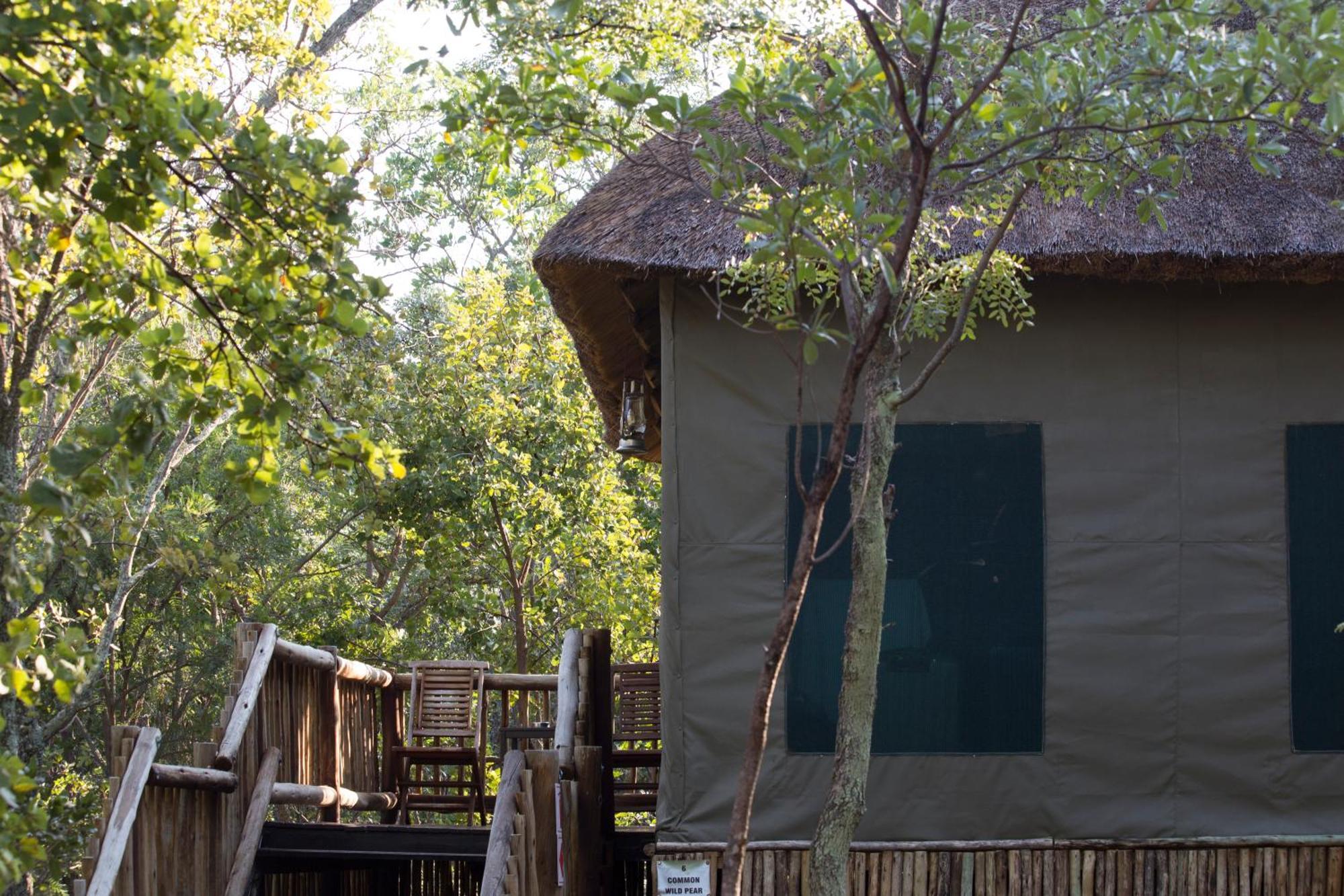 Hotel Honeyguide Ranger Camp Golders Green Zimmer foto